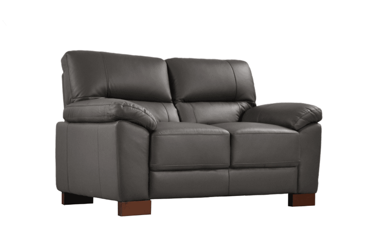 Dalmore Genuine Leather Grey 2 Seater Sofa