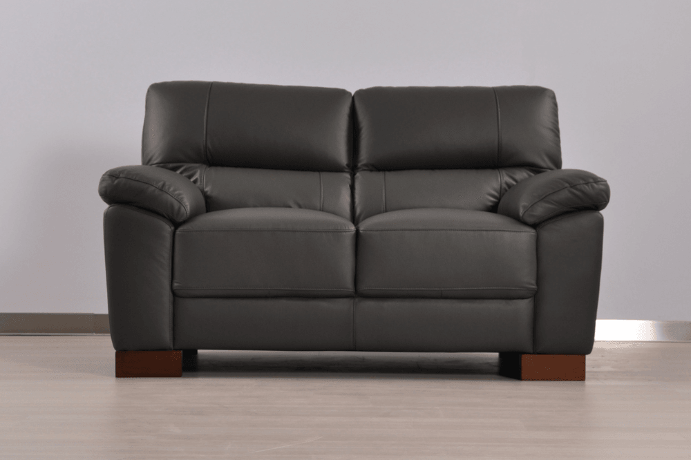 Dalmore Genuine Leather Grey 2 Seater Sofa