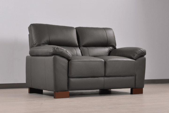 Dalmore Genuine Leather Grey 2 Seater Sofa