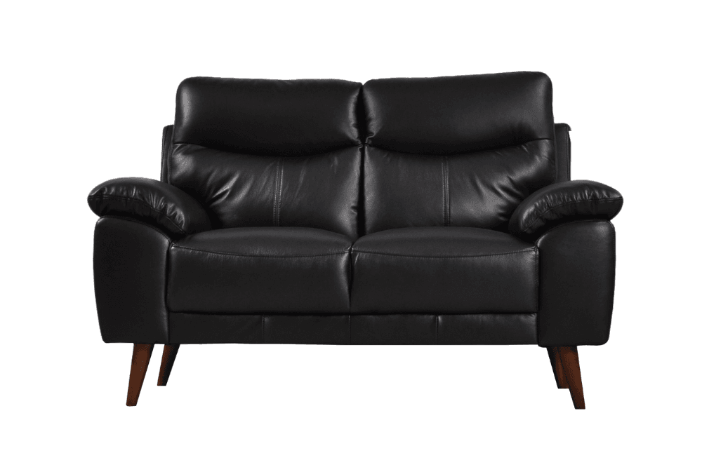 Vantage Genuine Leather Black 2 Seater Sofa
