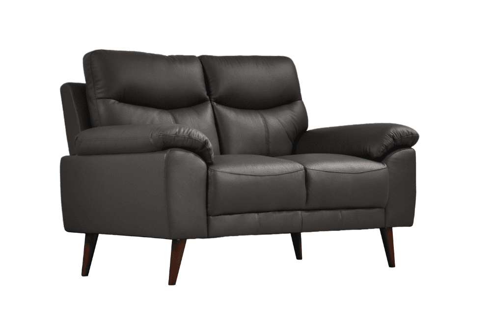 Vantage Genuine Leather Grey 2 Seater Sofa