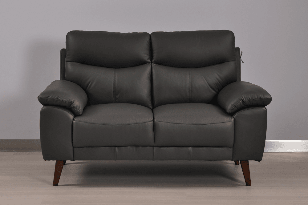 Vantage Genuine Leather Grey 2 Seater Sofa