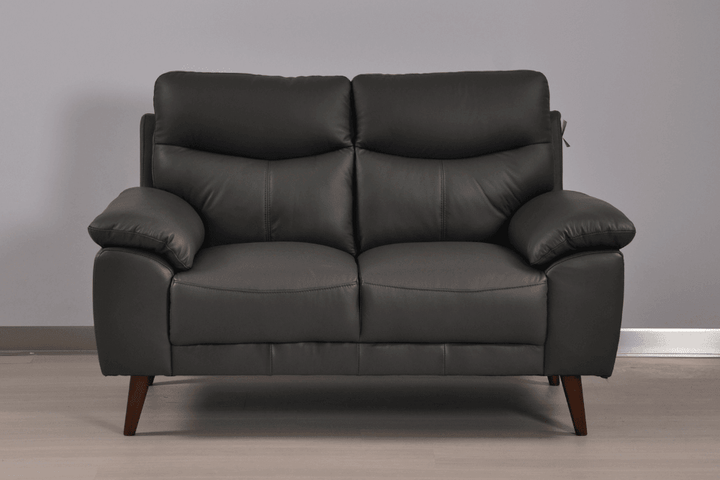 Vantage Genuine Leather Grey 2 Seater Sofa