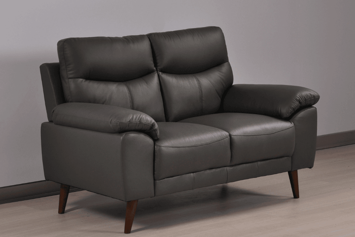 Vantage Genuine Leather Grey 2 Seater Sofa