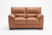 Dalmore Genuine Leather Caramel 2 Seater