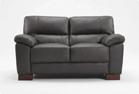 Dalmore Genuine Leather Grey 2 Seater