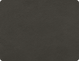 Solid dark gray color swatch