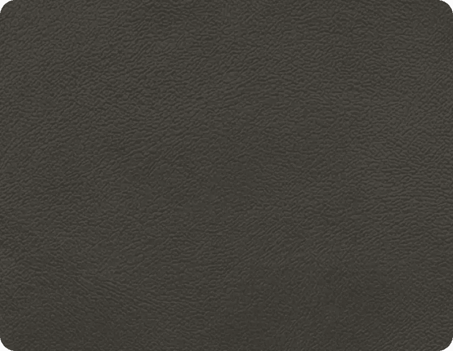 Solid dark gray color swatch