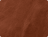 hunson-tan-leather-rise-and-recline-chair-fabric-swatch