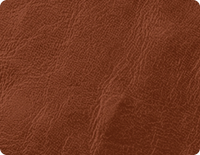 oliver-tan-leather-rise-and-recline-chair-fabric-swatch