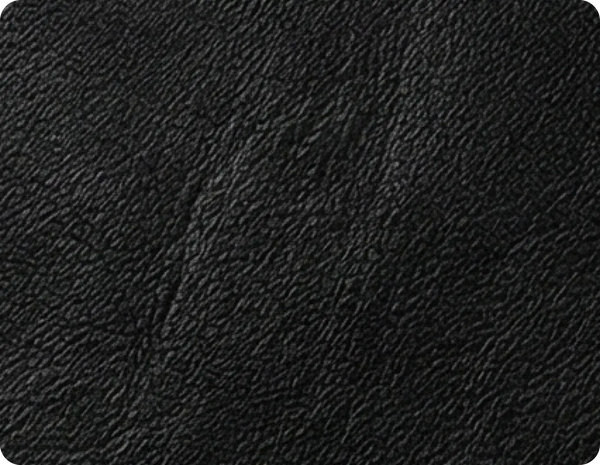 Derby Genuine Leather Black Rise & Recline Mobility Chair