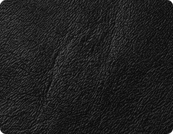 Oliver Genuine Leather Black Rise & Recline Mobility Chair