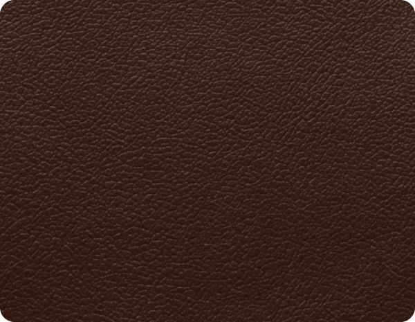 Nova Brown Leather Armchair