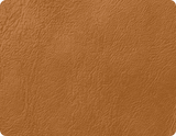Leo Genuine Leather Caramel Armchair with Electric Power Recliner