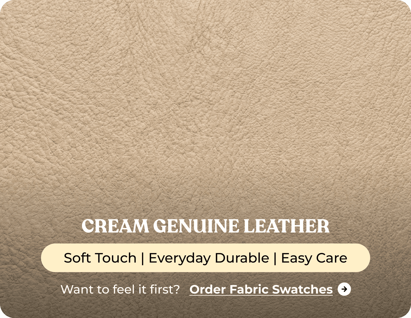 Dalmore Genuine Leather Cream Armchair