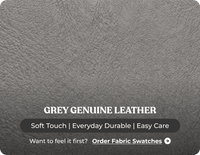 Derby Genuine Leather Grey Rise & Recline Mobility Chair
