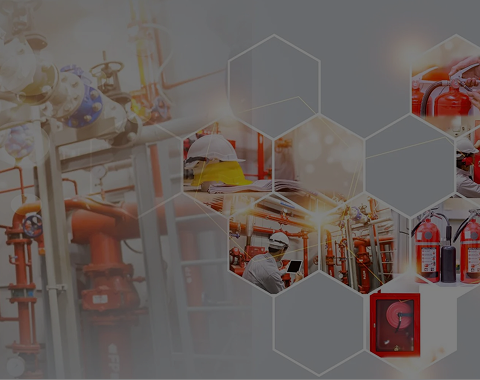 Rectangle_240648412_1