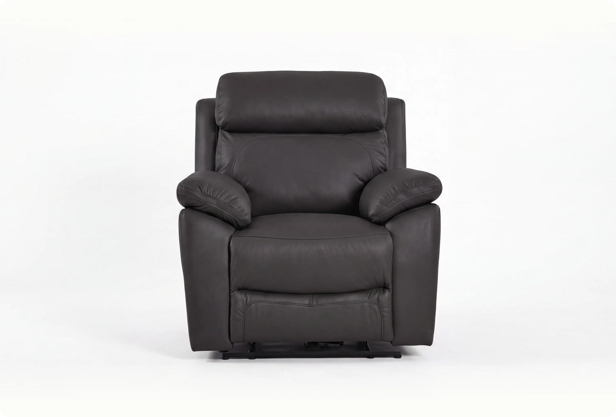 Torino Genuine Leather Grey Armchair