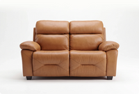 Velmont Genuine Leather Caramel 2 Seater Sofa
